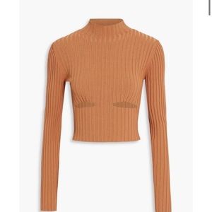 Dion Lee sweater.